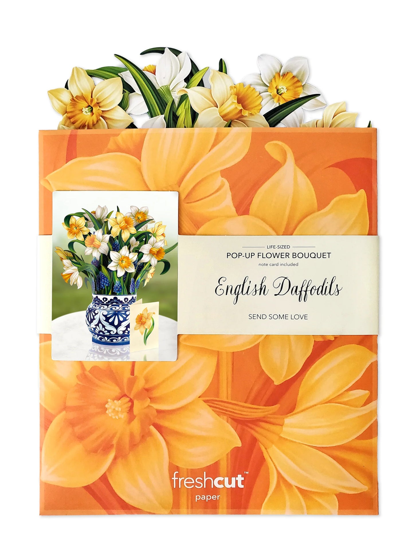 English Daffodils - Fresh Cut Paper