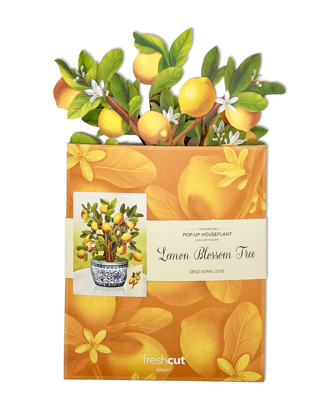 Lemon Blossom Tree - Fresh Cut Paper
