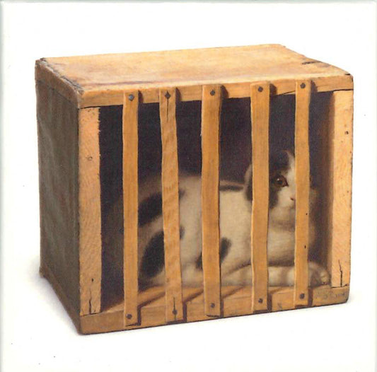 S. S. David Cat in Crate Magnet